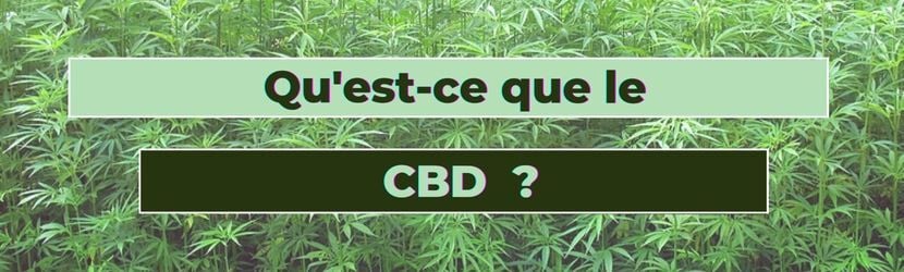 banière qu'est-ce que le CBD